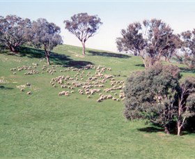 Burnelee Excursions On Horseback - Holiday Find 2