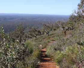Mount Dale Walk Trail - Holiday Find 0
