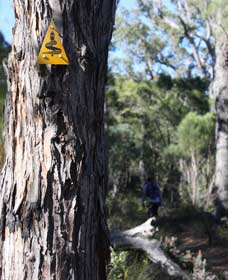 Mount Dale Walk Trail - Holiday Find 1