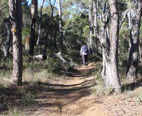 Mount Dale Walk Trail - Holiday Find 2