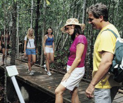 Toowoomba Water Bird Habitat - Holiday Find 1
