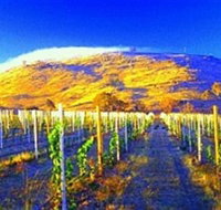 Surveyors Hill Winery - Holiday Find