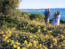 Joseph Banks Conservation Park - Holiday Find 0