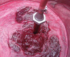 Hidden Creek Winery And Cafe - Holiday Find 2