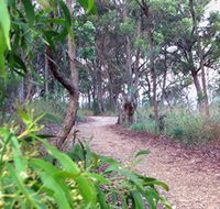 Mount Mutton Walking Trail - Holiday Find