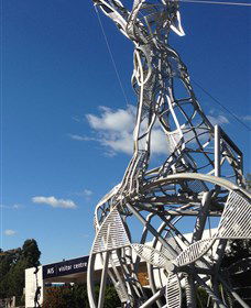 Australian Institute Of Sport (AIS) - Holiday Find 0