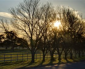 Inland Waters Holiday Parks Lake Glenbawn - Holiday Find 4