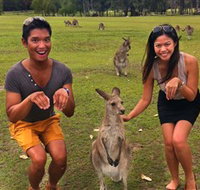 Runaway Tours
