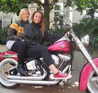 Wild Ride Harley and Motorcycle Tours - Holiday Find