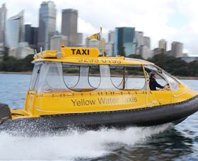 Yellow Water Taxis - Holiday Find 3