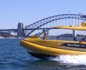 Yellow Water Taxis - Holiday Find 1