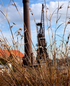 Click Walk Learn Photography Tours - Holiday Find 2