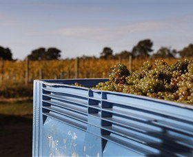 Quealy Winemakers - Holiday Find 3