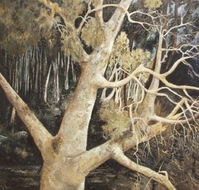Ku-Ring-Gai Art Centre  Gallery - Holiday Find