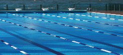 Andrew Boy Charlton Pool - Holiday Find 1