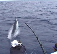 Amokura Charters - Holiday Find