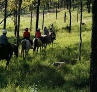Hunter Valley Horse Riding and Adventures - Holiday Find