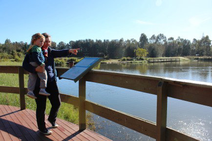 Hunter Wetlands Centre Australia - Holiday Find 0