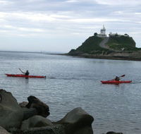 Newcastle Kayak Tours - Holiday Find