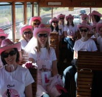Newcastles Famous Tram - Holiday Find