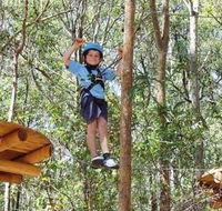 TreeTops Newcastle - Holiday Find
