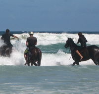 Pegasus Park Equestrian Centre - Holiday Find