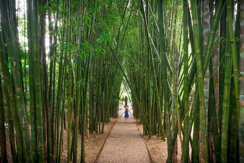 Crystal Castle & Shambhala Gardens - Holiday Find 1