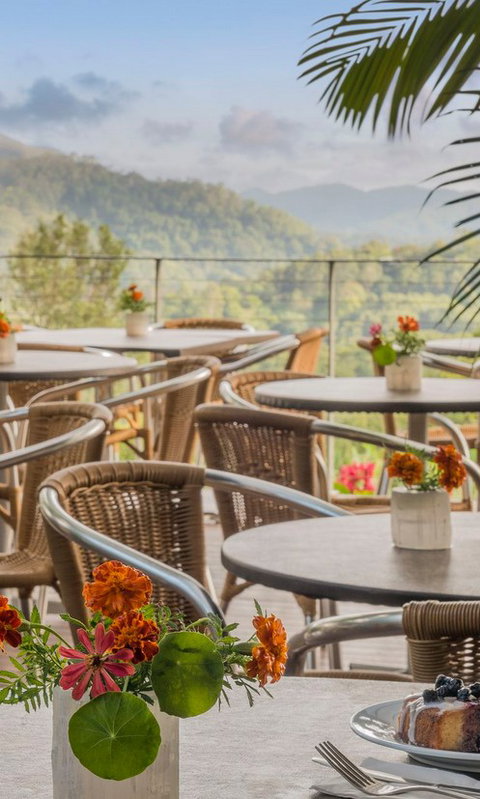 Crystal Castle & Shambhala Gardens - Holiday Find 2