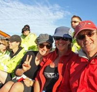 Byron Bay Whale Watching - Holiday Find