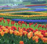 Botanica World Discoveries - Holiday Find