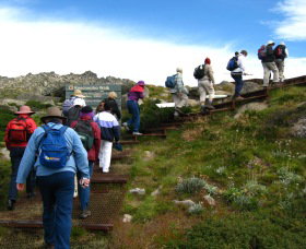 High Country Motel Tours - Holiday Find 2