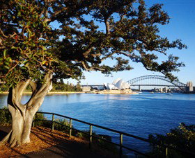 Royal Botanic Gardens And The Domain - Holiday Find 3