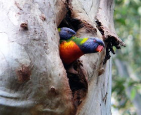 West Pennant Hills NSW Holiday Find