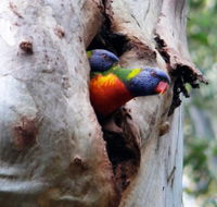 Cumberland State Forest - Holiday Find