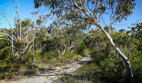 Aboriginal Heritage Walk - Holiday Find 2