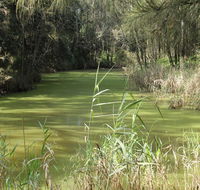 Second Ponds Creek walk - Holiday Find