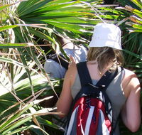 Palm Jungle loop track - Holiday Find