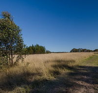 Scheyville horse riding trails - Holiday Find