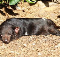 Symbio Wildlife Park - Holiday Find