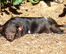 Symbio Wildlife Park - Holiday Find 0