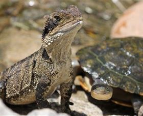 Symbio Wildlife Park - Holiday Find 3