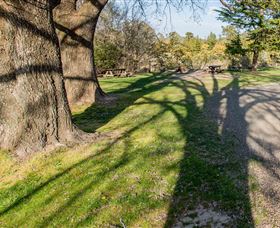 Bald Hill Lookout - Holiday Find 4