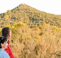 Piles Creek loop - Holiday Find