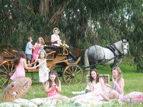 Classic Carriage Drives - Holiday Find 1