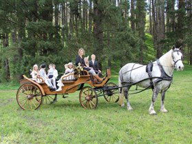 Classic Carriage Drives - Holiday Find 0