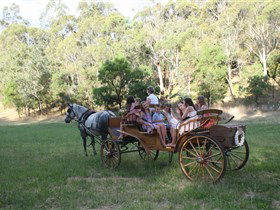 Classic Carriage Drives - Holiday Find 3