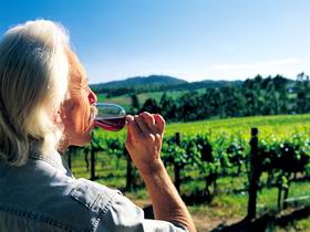 Ashton Hills Vineyard - Holiday Find 0