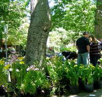 The Stirling Market - Holiday Find