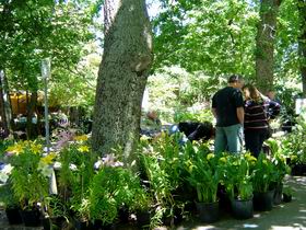 The Stirling Market - Holiday Find 0