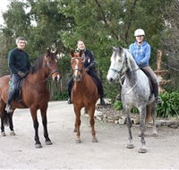Academy of Dressage - Holiday Find